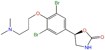 Pseudoceralidinone A